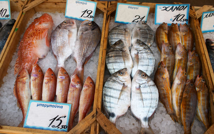 ryby na řeckém trhu